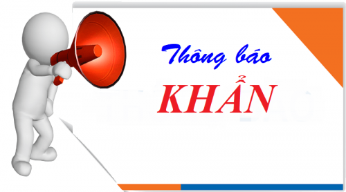 Thông báo khẩn: Từ ngày 15/11/2021 học sinh học trực tiếp tại trường